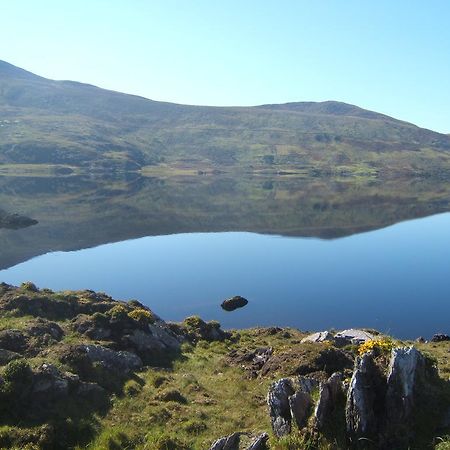 Killeenleagh Bridge 布鲁德罗玛德罗米旅馆旅舍 外观 照片